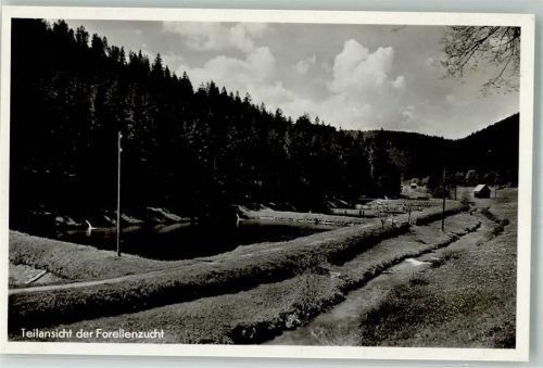 Altensteig Forellenzucht Völmles- Mühle Sägewerk Foto AK