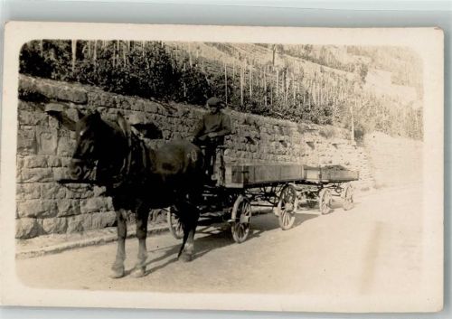 Weinbauer transportiert Wein