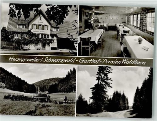 Herzogsweiler Gasthaus Pension Waldhorn