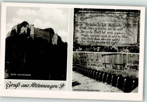 Altleiningen Burg Zwanzigröhrenbrunnen