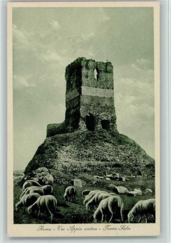 Rome - Via Appia antica - Schafherde