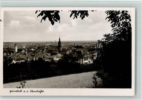 Grünstadt Gesamtansicht
