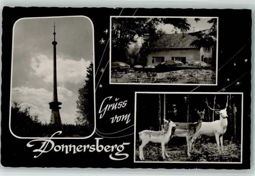 Dannenfels Waldhaus Donnersberg Tiergehege Hirsch Rehe Turm 3-Bidlaufnahme
