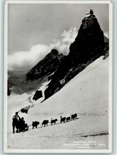 Jungfraujoch Jungfraujoch Meteorologische Station a. d. Sphinx Polarhunde