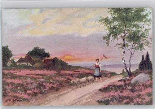 Schafhirte - Heidelandschaft - Sonnenuntergang -