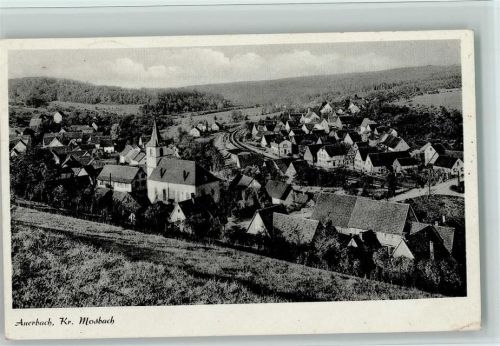 Auerbach Gesamtansicht