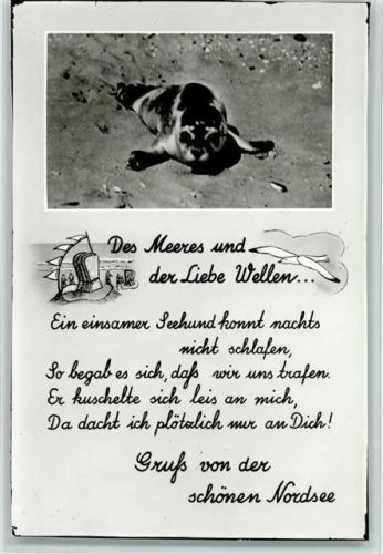 Gruß von der Nordsee mit einem Gedicht von einem Seehund ca 1960 AK
