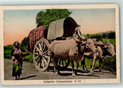 1937 Indischer Ochsenbandy - Volkstypen AK