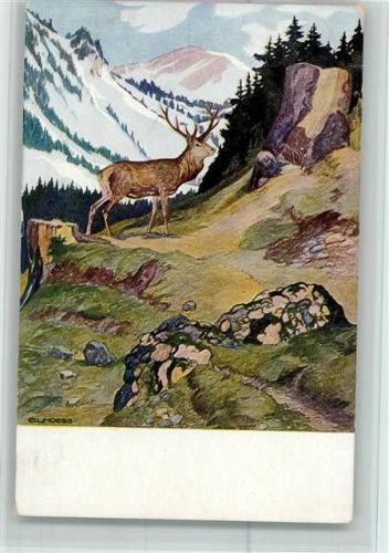 Serie II, 3 - Ludwig Hoeß - Hochwaldleben - Jagdtiere