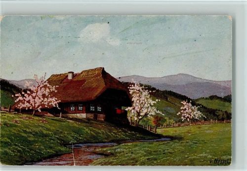 Schwarzwaldhäuser , Moos Serie V Nr. 10 AK Nessel