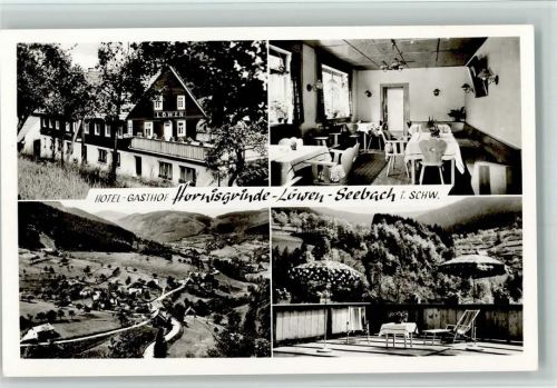 Seebach Hotel Gasthof Hornisgrinde-Löwen 4-Bildaufnahme
