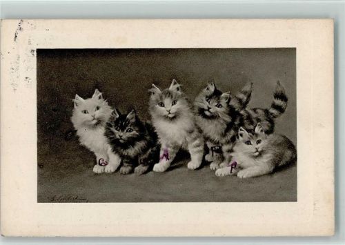 TSN Serie 1055 - Vier Katzen sign Sperlich 1912 AK