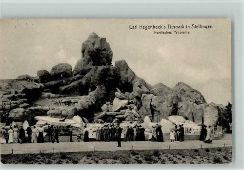 Nordisches Panorama, viele Menschen 1915 AK Verlag Hagenbeck