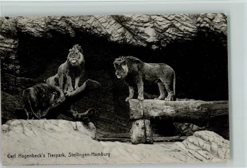 Löwenschlucht Nr. 302 AK