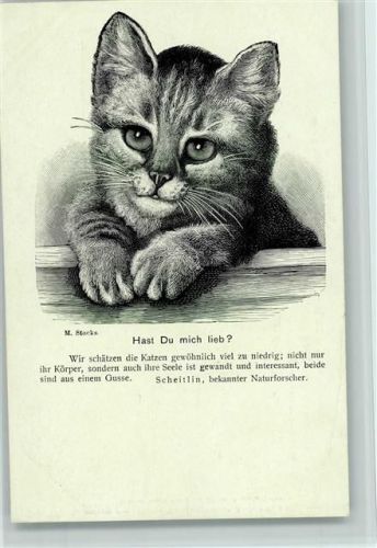 Nr. 17 vom Berliner Tierschutzverein - sign Stocks Federzeichnung Stahlstich? 1900 AK