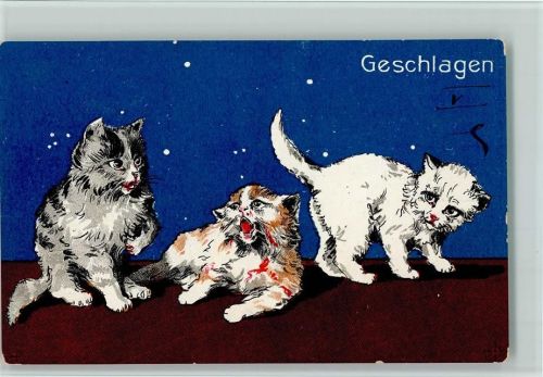 Verlag BKW Serie 621-5 AK