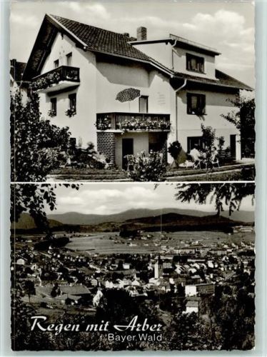 Regen Gästehaus Michael Weber Ortsansicht 2-Bildaufnahme