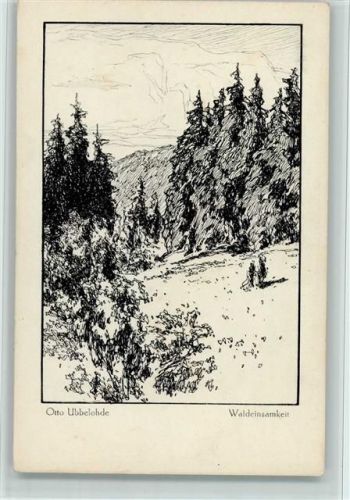 Aus dem Buch "Meine Wälder" - Waldeinsamkeit, gute Erhaltung