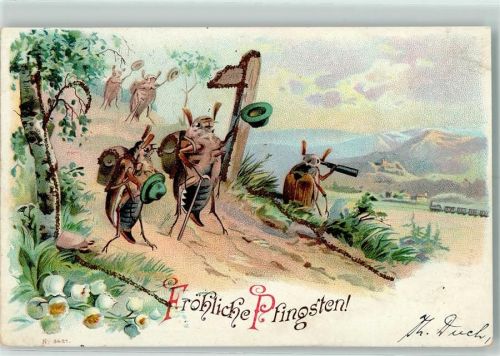 1901 Pfingsten .- vermenschlichte Tiere, Lithographie AK