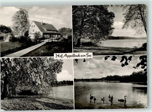 Hollenstedt Hof Appelbeck am See Enten