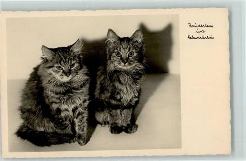 Brüderlein und Schwesterlein Foto ca 1938 AK