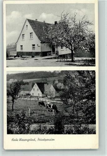 Waldbröl 1959 Pension Haus Wiesengrund AK