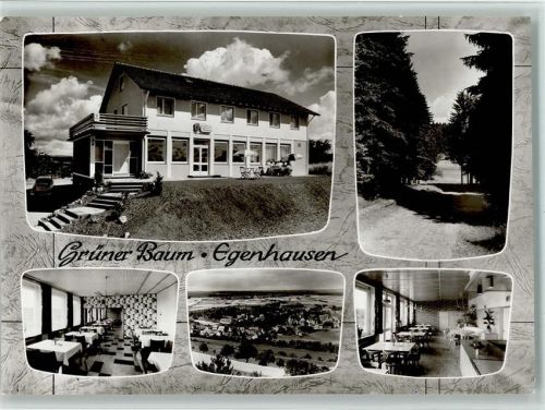 Egenhausen 1965 Gasthof Pension "Grüner Baum" mit Innenansichten , gute Erhaltung AK
