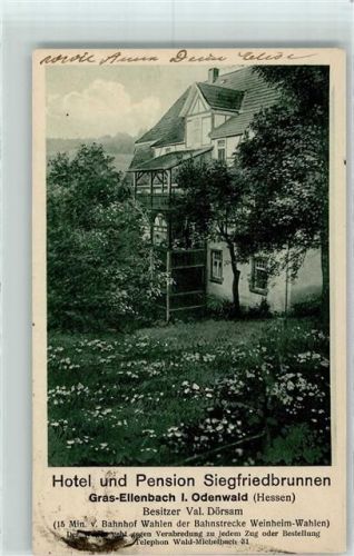 64689 W6149 Grasellenbach - Hotel Pension Siegfriedbrunnen
