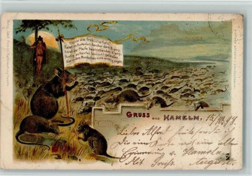 Hameln 1898 Gruss aus - Litho - AK