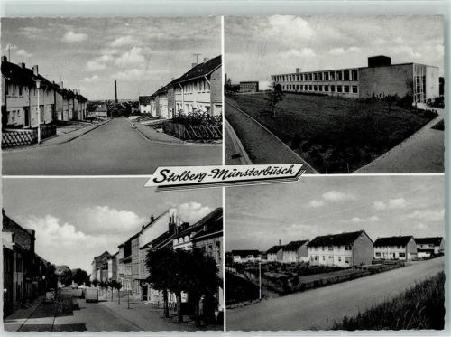 Münsterbusch