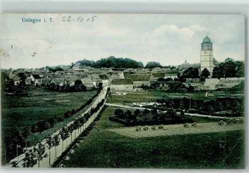 61250 W6390 Usingen 1905 - Laurentiuskirche Heustapel