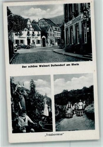 Niederdollendorf Traubenlese Schubkarren Gasthaus Reben