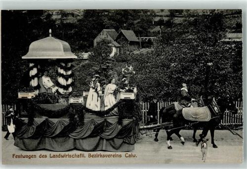 Calw 1912 Landwirschaftliches Bezirksfest 1912 Landwirtschaftl. Bezirksverein Festwagen Hund Ort handschriftlich
