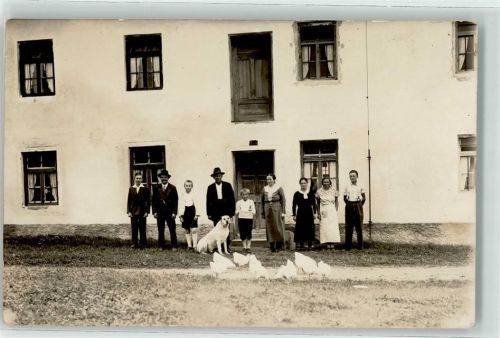 Ampfing Hund Hühner