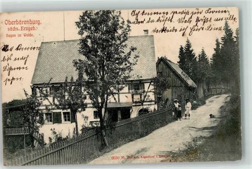 Oberbärenburg Hagen im Wald