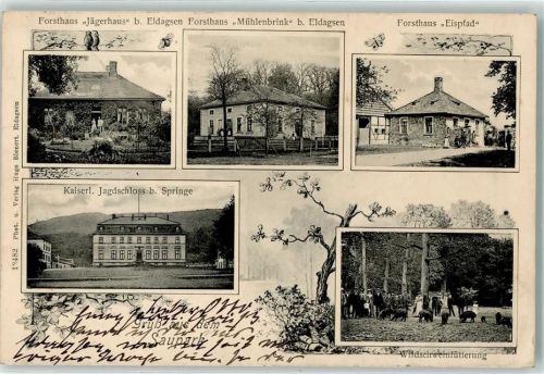 Eldagsen 1906 Gruss Saupark Forsthaus Jägerhaus Mühlenbrink Eispfad Kaiserliches Jagdschloss Springe Wildschweinfütterung