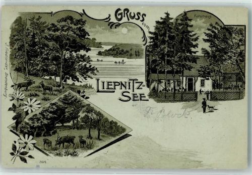 Wandlitz 1900 Liepnitz See Forsthaus Hirsch Lithographie Mondschein