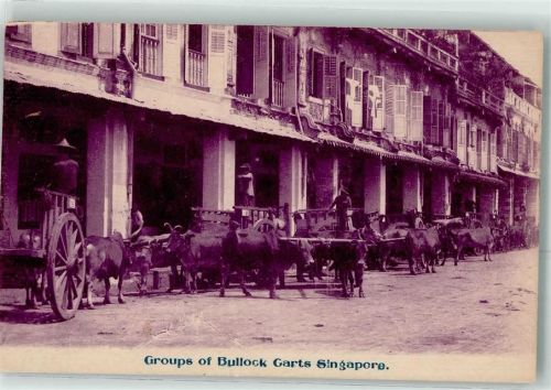 Singapore Groups of Bullock Garts