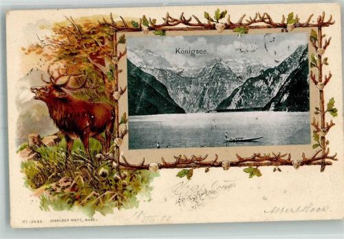 Königssee Hirsch Königssee Ruderboot Passepartout