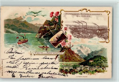 Interlaken 1901 Gruss aus - Brienzersee, Fabrik in Bad Salzuflen , Verlag Müller & Trüb