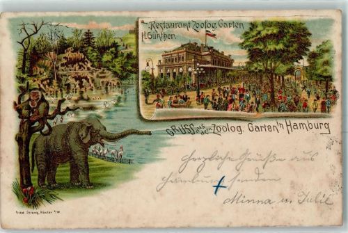 W2000 Hamburg Gruss aus Zoologischer Garten AK Zoo 1895 Lithographie