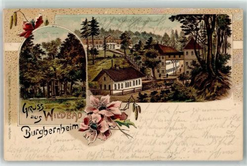 91593 W8801 Burgbernheim Lithographie