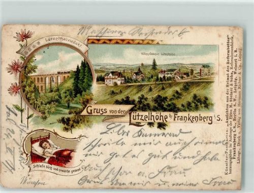 Frankenberg 1904 Lützelhöhe Lützeltalviadukt Villen Kolonie Ansichten aus der Heimat des Reformbettes Firma M. Steiner & Sohn