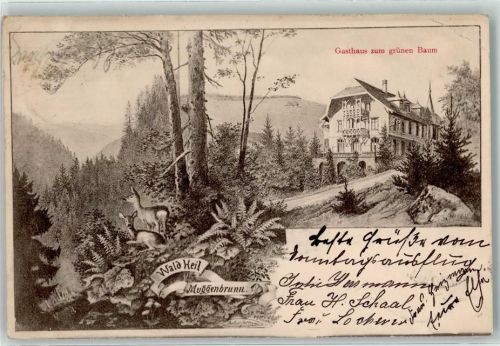 Muggenbrunn 1903 Gasthaus zum grünen Baum Reh