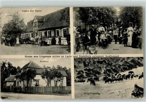 Lingenau 1914 Gasthaus Karl Fischer Garten Forsthaus Wildscheinfütterung