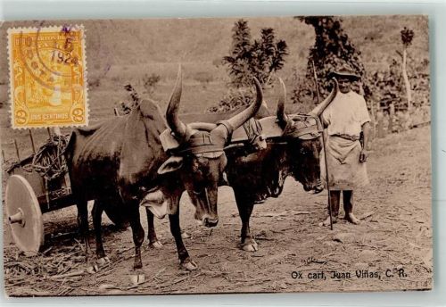 Viehgespann Ox Cart Juan Vinas