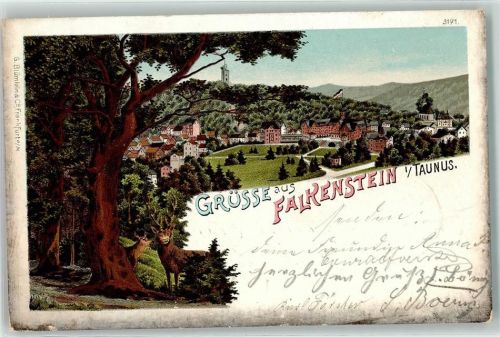 Falkenstein 1902 Hirsch