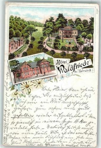 38350 W3330 Helmstedt 1897 - Hotel Waldfriede Bahnpoststempel