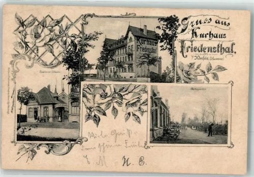 30159 W3000 Kleefeld 1901 - Kurhaus Friedensthal Schänke
