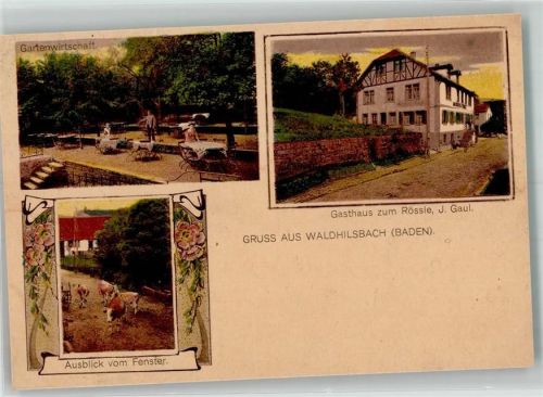 Waldhilsbach 1920 Gasthaus zum Rössle Kühe